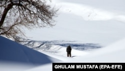 یو شمېر افغانان چې اقتصادي وضعیت یې ښه نه‌دی، اندېښمن دي چې ژمی له وخته مخکې راغی او د خپلو کورنو د تودولو لپاره څه نه‌لري.