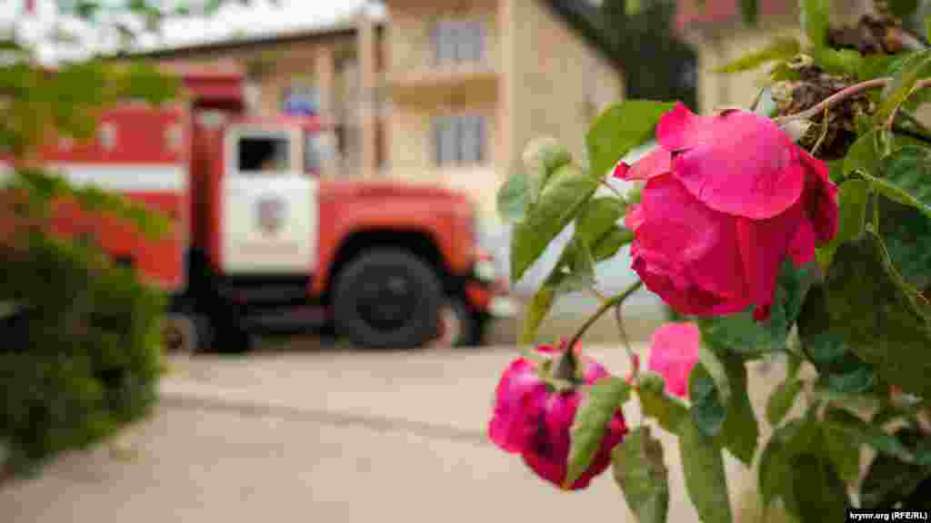 У сільській пожежній частині розквітли троянди